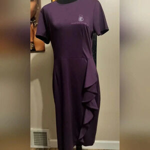 Conscious Collection Royal Purple Women's Dress Size Large New With Tags